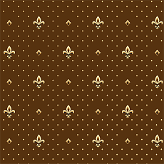 Ковролин Haima Alameda 04 Brown фото 1 | FLOORDEALER